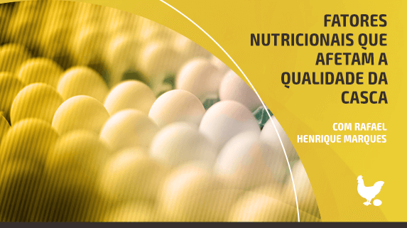 Capa do vídeo sobre os fatores nutricionais que afetam a qualidade da casca - Plataforma de vídeos do agronegócio - Agroflix